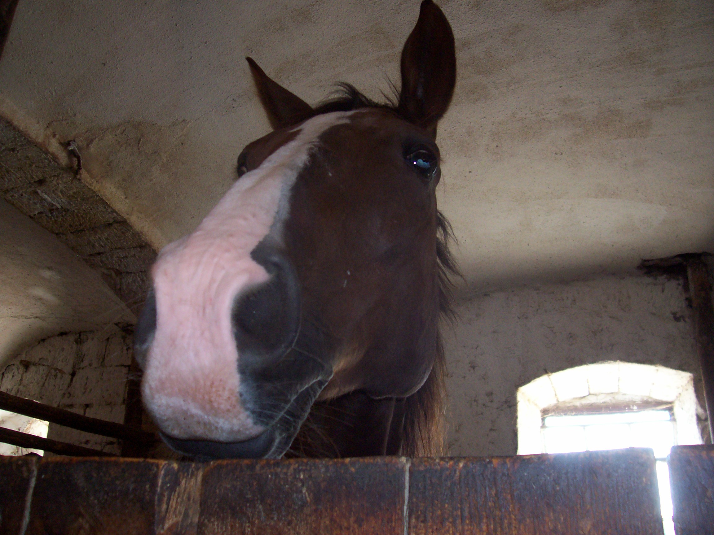 100_0775.JPG